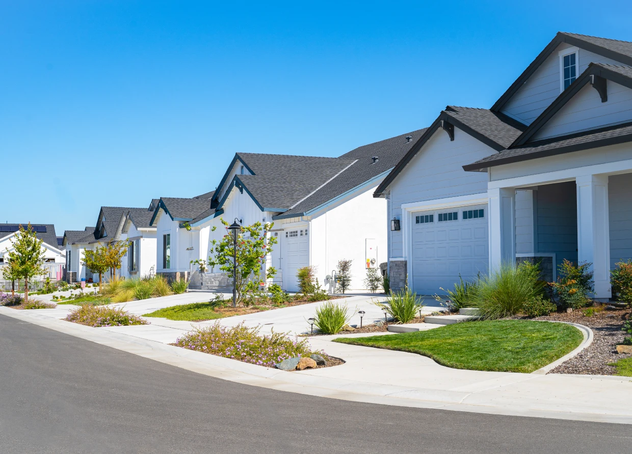 Suburban street with modern houses